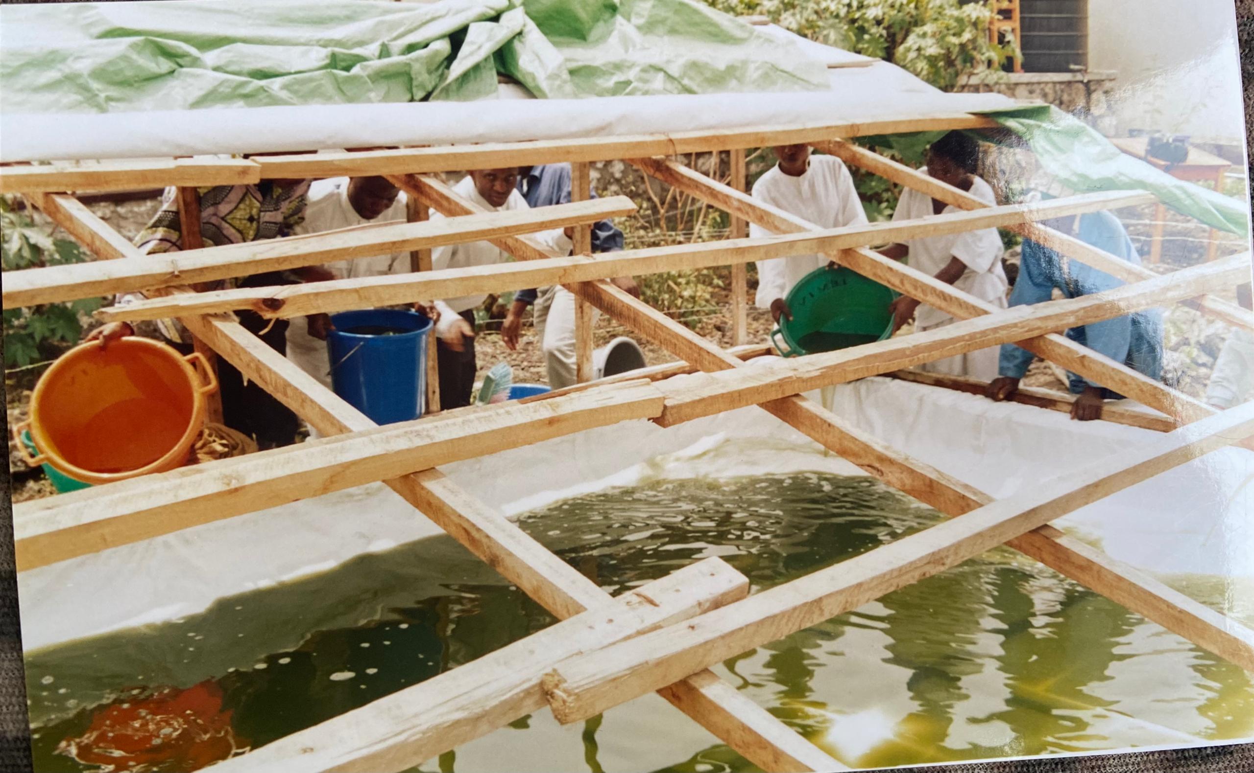 Valorisation de la médecine naturelle - Image 7